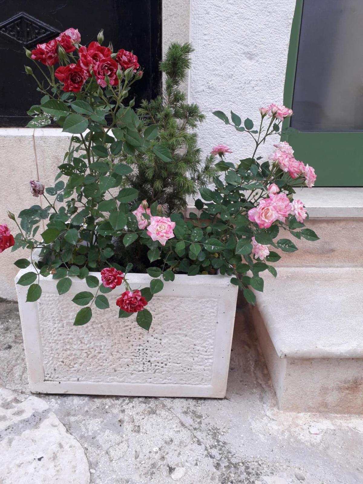 Le Chianche Villa Ceglie Messapica Luaran gambar
